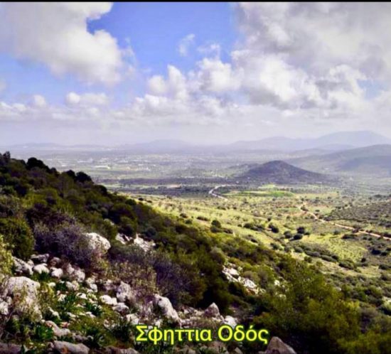 Sfittia_odos