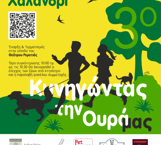 kinigontas_oura24_logo3