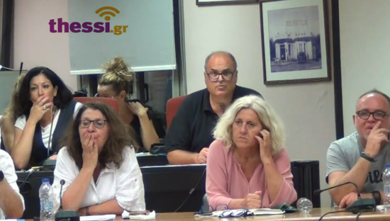 DS gia tin Pirkagia tis 11 Avgoustou