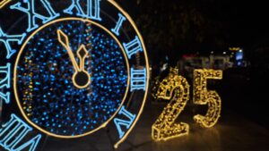 anamma dendroy24_12