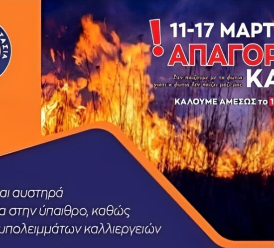 Politiki Prostasia_Apagorefsi xrisis pyros