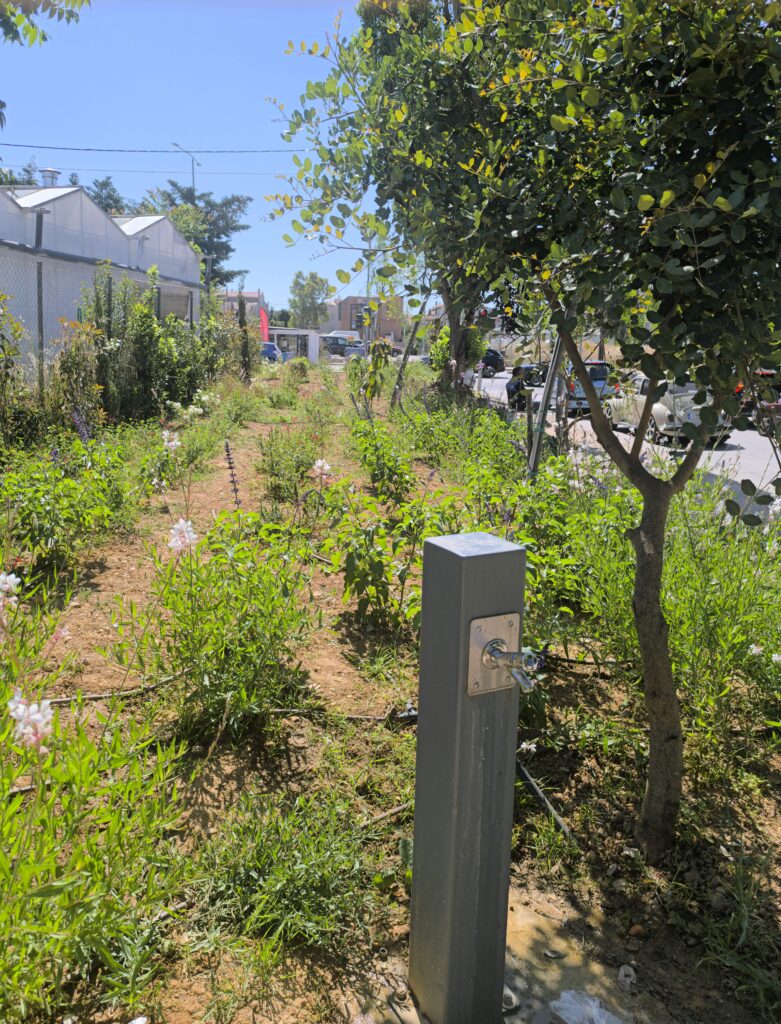 4o packet park_9