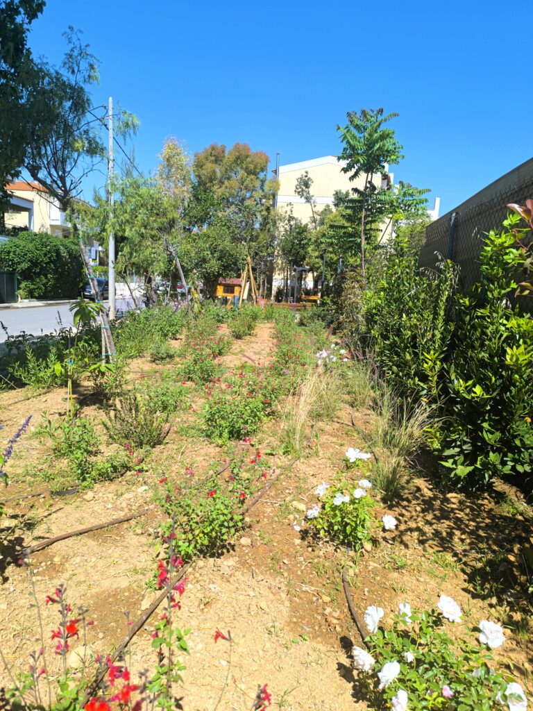 4o packet park_6