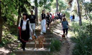 Dimotika athlitika programmata25-26_5