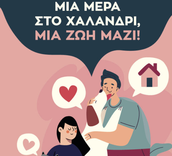 pet adoption day_2
