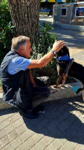 Pagosmia imera ton zoon me drasi iothesias_10