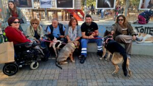 Pagosmia imera ton zoon me drasi iothesias_12