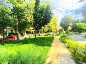 Adreianeio nees anaplaseis_8