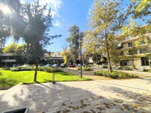 Adreianeio nees anaplaseis_7