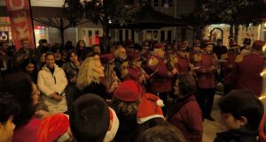 ksekinima eorton me anamma dendrou_6