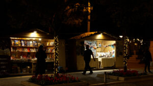 ksekinima eorton me anamma dendrou_8