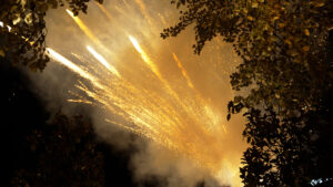 ksekinima eorton me anamma dendrou_18