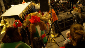 ksekinima eorton me anamma dendrou_12