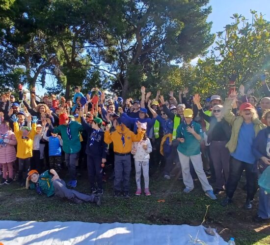 dendrofyteusi parko Fragoklisias_3