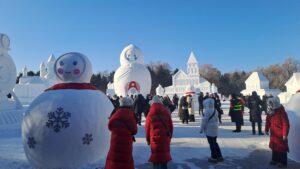 Simmetoxi diaskepsi Harbin_2