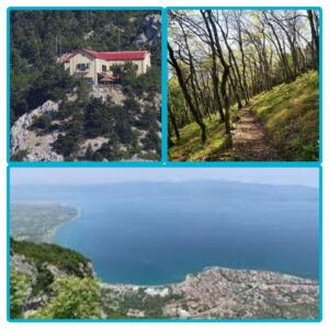 Δράσεις συλλόγου “Δραπέτες της πόλης Χαλανδρίου” 