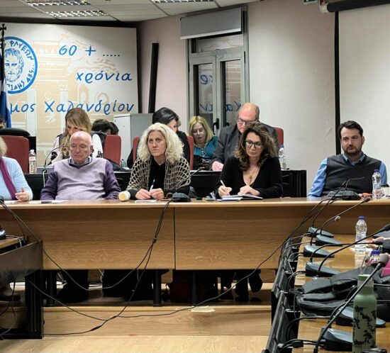 ΔΣ ομοφωνο ψηφισμα οπισθοδρομικων ρυθμισεων_κωδικας ισοτητας φυλων1