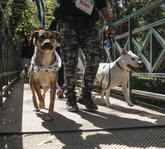 5o κυνηγοντας την ουρα μας_1