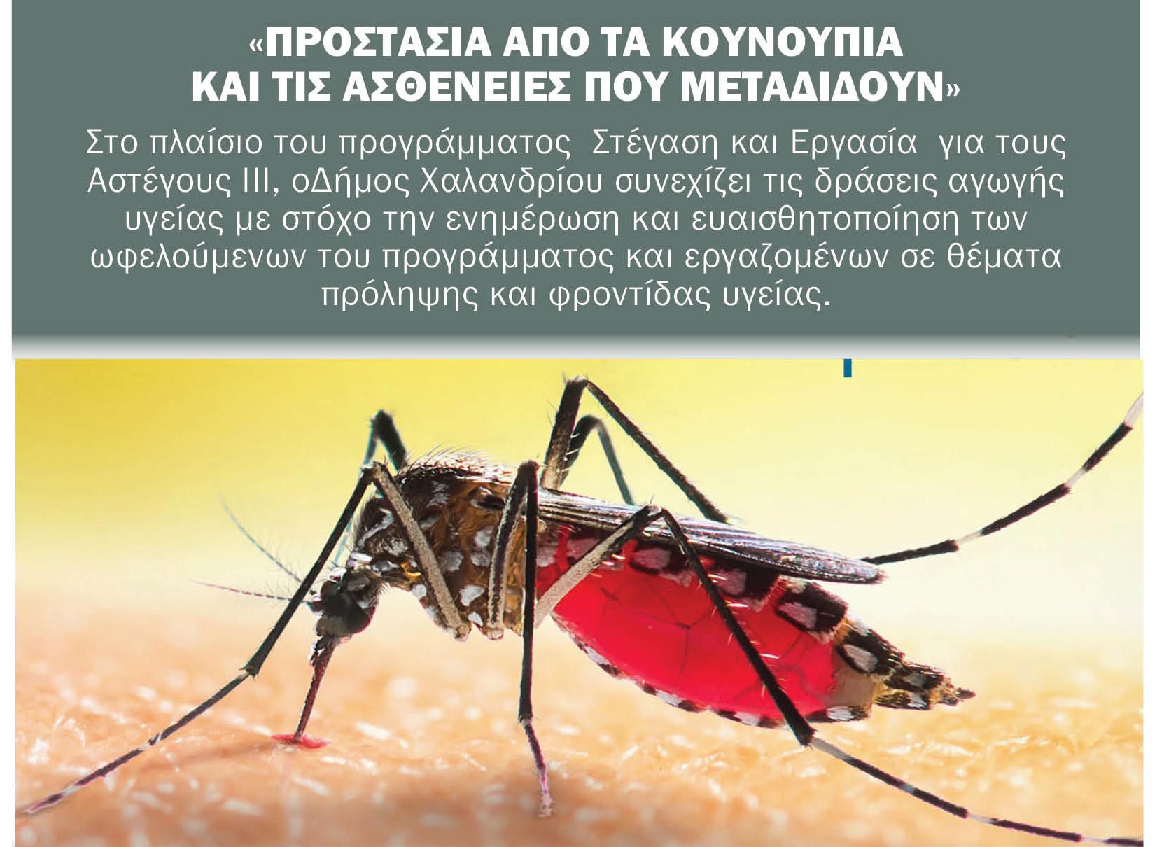 προστασια απο τα κουνουπια_2