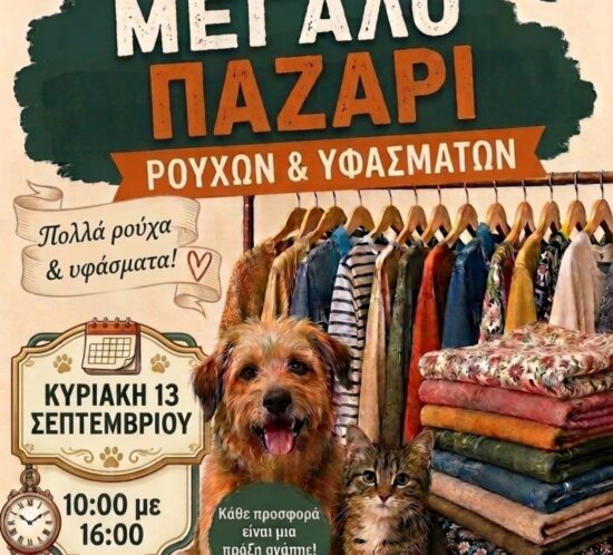 Pazari filon zoon_1