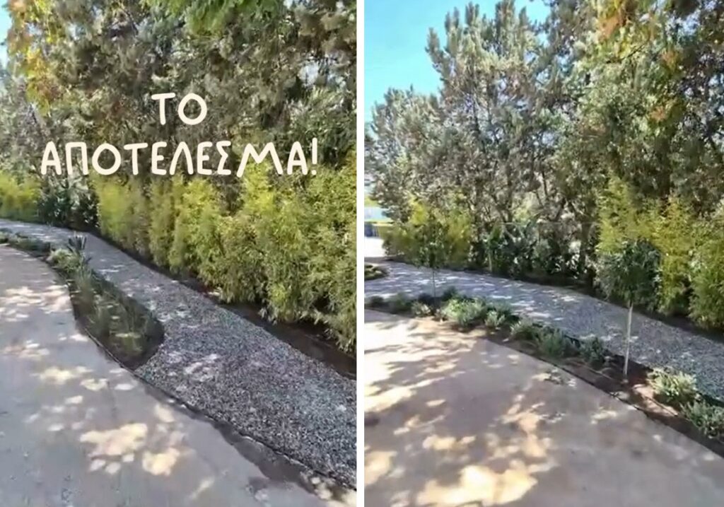 Πρασινίζουμε το προαύλιο 4ου Δημοτικού και 10ου Νηπιαγωγείου_13